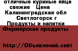 отличные куриные яйца свежие › Цена ­ 120 - Калининградская обл., Светлогорск г. Продукты и напитки » Фермерские продукты   